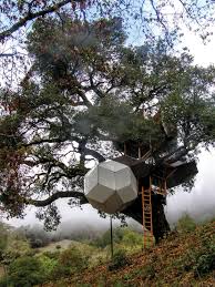 The language for the site needed to showcase treehouse's expertise in sustainable home improvement. O2 Treehouse Luxury Houses To Spaceships Suspended In The Trees Flaunt Magazine