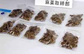 Yahoo!ニュース - News update