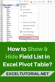 How To Show Hide Field List In Excel Pivot Table In 2020 Pivot Table Pivot Table Excel Excel Tutorials