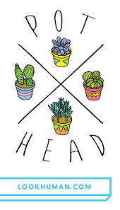 Pin On Gardening Plants