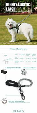 Es war nie einfacher, neue marken für ihren handel zu finden. Leads Unique Design Polyester Nylon Wholesale Dog Gives Leash Back Pet Supplies Dog Products Accessories Supply China Dog Leash Halti And Dog Leash Incident Price Made In China Com