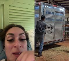 Bull's Neck Fatigue Duet Reaction