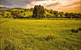 Kata kata bijak cinta dan quotes cinta romantis menyentuh hati. Kumpulan Puisi Tentang Alam Padang Ilalang Tujuh Delapan Sembilan