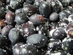 Maybe you would like to learn more about one of these? Come Conservare Olive Nere E Verdi Sotto Sale E Sott Olio Olio Cristofaro