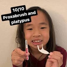 Melanie Wang's Instagram, Twitter & Facebook