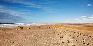 From the air, the awful boundary of the skeleton coast appearance howling — a deep inexperienced ocean, fringed with surf, breaks over a shore receding into infinite dunes. Reviews Of Skeleton Coast From 9 Acclaimed Safari Experts