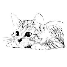 Black And White Cat Drawing Face Custom Cat Portrait Black And White Cat Drawing Cat Painting Cat Memorial Gift Idea Personalized Cat Lover Owner Gift Cat Loss Gift In 2020 Cat Drawing Cat Tattoo Drawings