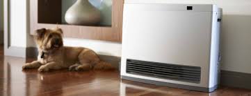 Rinnai v65ep 6.5 gpm outdoor tankless propane water heater. Gas Space Heaters Rinnai Gas Heater