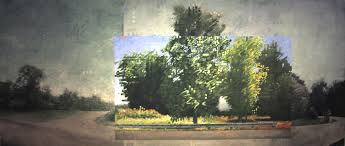 Within Our Gates — Keith Morris Washington