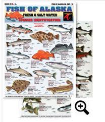 Fish Of Alaska Id Chart 16 Saltwater Fishing Freshwater