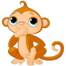 Funny Monkey Images Cute Baby Monkey Cute Animals Cute Monkey
