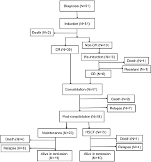 Flow Chart Of The Patients Abbreviations Cr Complete