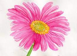 Gerbera Daisy Watercolor Painting Original Closeup Pink Etsy Daisy Painting Pink Flower Painting Floral Artwork