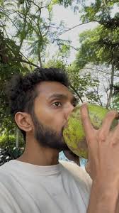 Go listen to our latest single ‘Cubbon Park’ and let us know what was your  favourite moment in the video 🌳 , #derekandthecats #cubbonpark