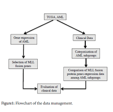 Flowchart Of The Data Management Download Scientific Diagram