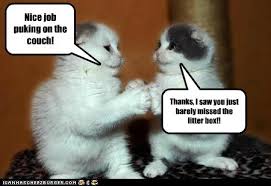 Great job to all the 9 year olds out there! Nice Job Puking On The Couch Lolcats Lol Cat Memes Funny Cats Funny Cat Pictures With Words On Them Funny Pictures Lol Cat Memes Lol Cats