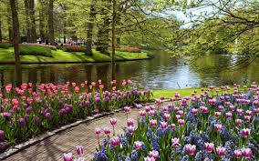 This Flower Filled Park In Keukenhof Netherlands Is The Perfect Way To Spring Into A New Seaso Beautiful Summer Wallpaper Summer Garden Summer Beach Wallpaper
