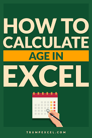 How To Calculate Age In Excel Using Formulas Free Calculator Template In 2020 Microsoft Excel Tutorial Excel Formula Excel