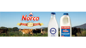 Backed by vcs such as bezos expeditions, maya capital, indie bio, humboldt. Norco Co Op Ltd Norco Factory Old Ferry Road Raleigh Nsw White Pages