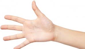 3 Penyebab Telapak Tangan Berkeringat Bukan Penyakit Jantung Cantik Tempo Co