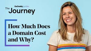 How Much Does A Domain Name Cost Godaddy Blog