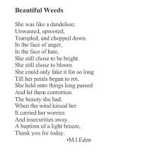 Insta M I Eden Poems Art Poetry Photography Love Quotes Heartbreak Broken Anger Rot Unwanted