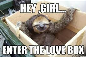 Lolol Wow Sloth Memes Sloths Funny Sloth Meme Sloth