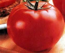 Tomatoes need at least an inch of water a week. Big Beef Hybrid Tomato 45 Seeds Colossal Fruit Size Buy Online In Bulgaria At Bulgaria Desertcart Com Productid 75706244