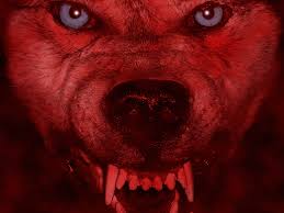 Red night | wolf art, demon wolf, shadow wolf. Red Wolf Wallpapers Wallpaper Cave