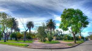 juan domingo robaina monteleone