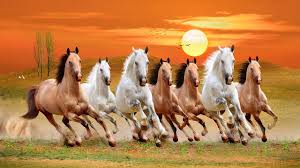 Check spelling or type a new query. Seven Running Horse Vaastu Painting In Hindi Buy Best Seven Running Horses Painting From Crafttrip Youtube