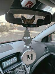 Car Mirror Hanger 3in Embroidery Hoop Embroidery Art Embroidery Hoop Car Hanger