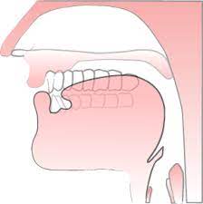 Voice pronunciation in british english. Pronounce V Sound Pronuncian American English Pronunciation