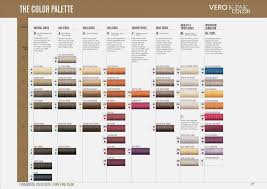 74 Systematic Next Generation Hair Colour Chart