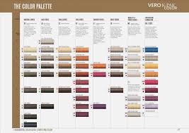 74 systematic next generation hair colour chart