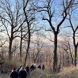 Friday Footpaths at the Mound