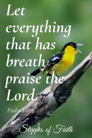 Let Everything That Has Breath Praise The Lord Bible Verse Pin On Bible Scripture