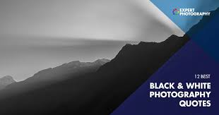 Best Black And White Photography Quotes 12 Best Black And White Quotes Photography Inspiration In 2020 Quotes About Photography Black White Quotes Quotes White