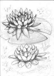 Lotus Sketch By Sasan Ghods On Deviantart Flower Sketches Lotus Flower Drawing Pencil Drawings Of Flowers