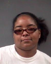 Pit bull bites officer