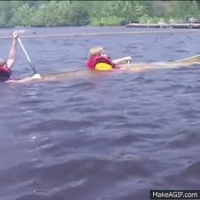 Large collection of the best rafting gifs. Canoeing Gifs Get The Best Gif On Giphy