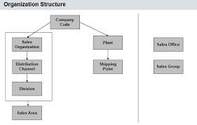 Sap Sd Organizational Structure Free Sap Sd Training