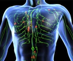 We have more information about signs and symptoms of lymphoma. About Lymphoma Lymphoma Research Foundation