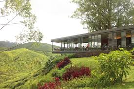 (0.37 mi) kea garden mini chalet. Tea Time In The Cameron Highlands Travel Cocktail