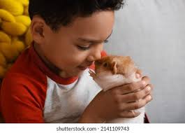 42+ Thousand Подопытный Кролик Royalty-Free Images, Stock Photos & Pictures 