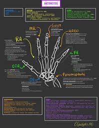 Pin On Ultrasound Sonography