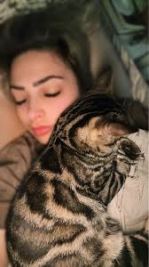 Charlie who is 5 months old now is obsessed carrying ice cubes in his mouth  round the house ,do any bengals here do the same . ?