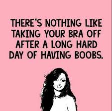 Of course,it just came out ofthe closet am i ready to be a dad now? 36 Funny Relatable Memes For Anyone With Big Boobs Sugarcandy