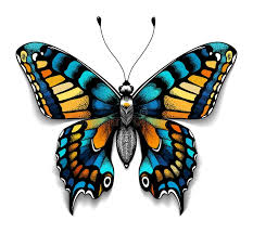 Check spelling or type a new query. Beautiful Tattoo For Your Chest Colorful Machaon Butterfly Tropical Realistic Butterfly With Shadow Symbol Of Femininity Stock Vector Illustration Of Butterfly Abstract 108175319