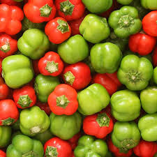 Image result for Capsicum